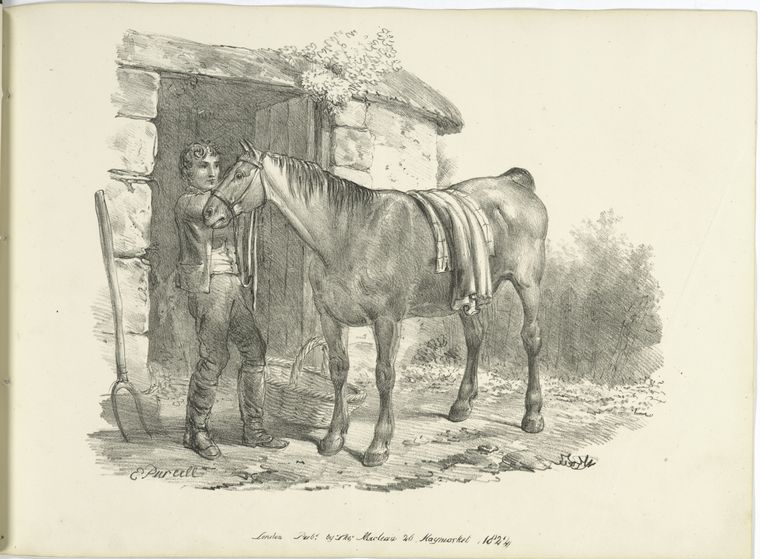 Young man and a horse.