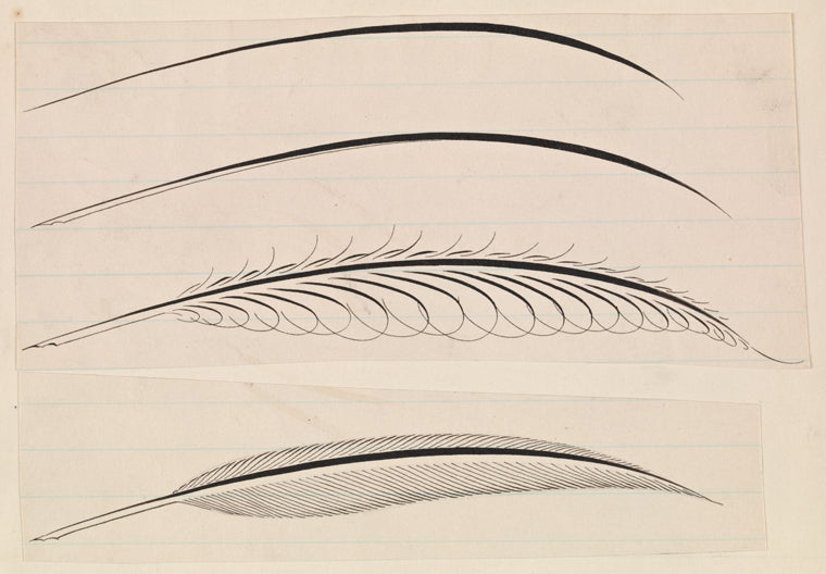 Feathers