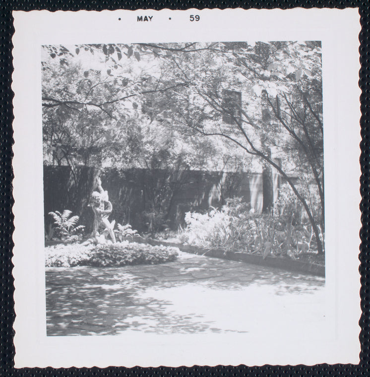 Walter Abel