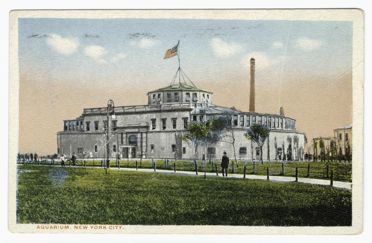 Aquarium.  New York City