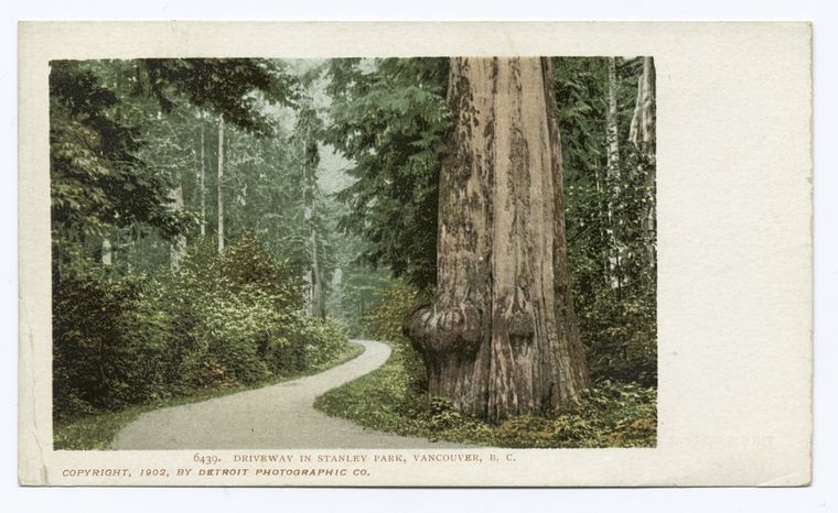Stanley Park, Siwash Rock, Vancouver, B. C.