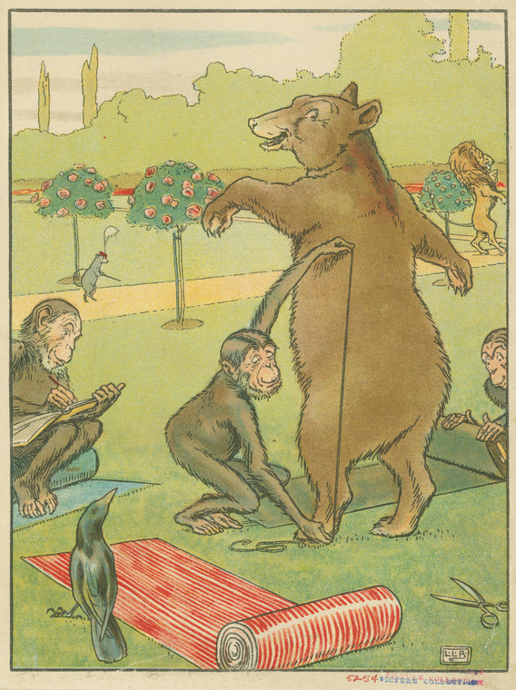 Bear gets measured.