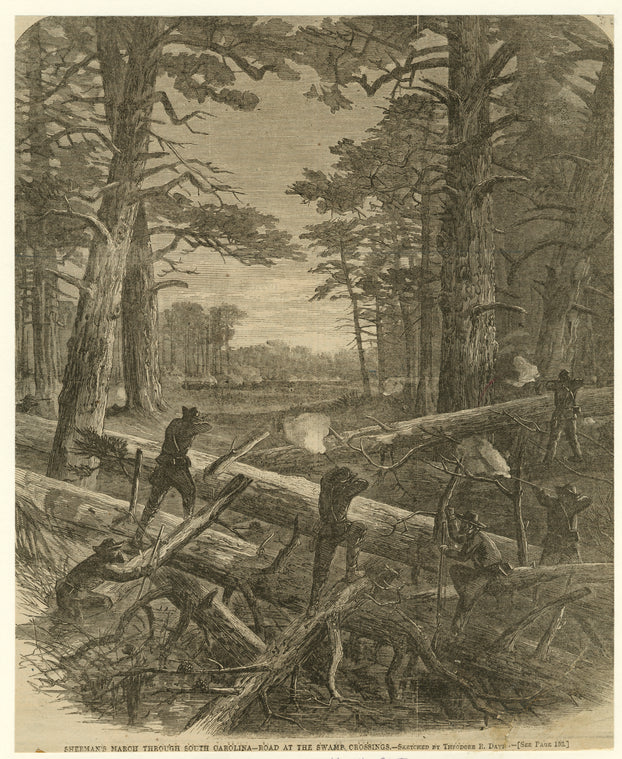 Sherman's march through South Carolina -- road at the swamp crossings