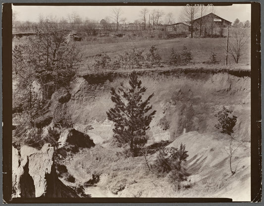 Erosion near Oxford, Mississippi
