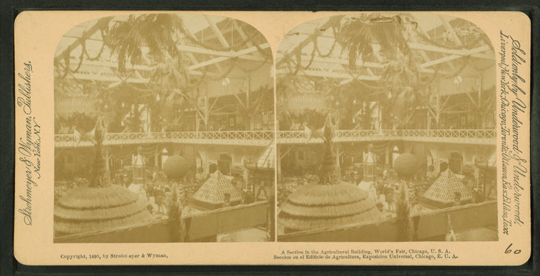 A section in the Agricultural building, World's Fair, Chicago, U.S.A.