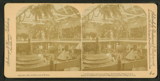 A section in the Agricultural building, World's Fair, Chicago, U.S.A.