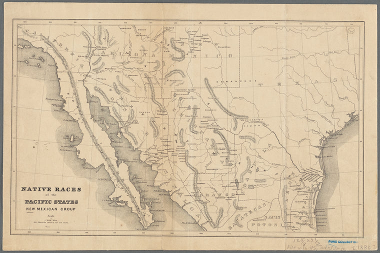 Native races of the Pacific States, New Mexican group