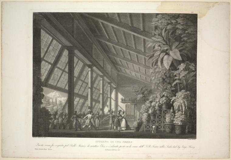 Interno di una serra. Questa scena fu eseguita pel ballo mimico di carattere Elerz e Zulnida [sic] posto su le scene dell'i.r. Teatro alla Scala dal Sig. Luigi Henry. La primavera dell'anno 1826. Alessandro Sanquirico inv. e dip. Carolina Lose inc.