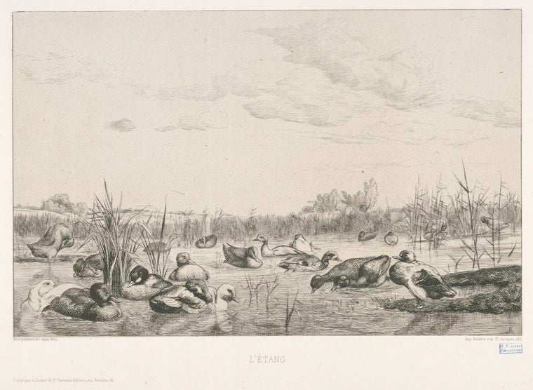 L'étang [deuxième planche].