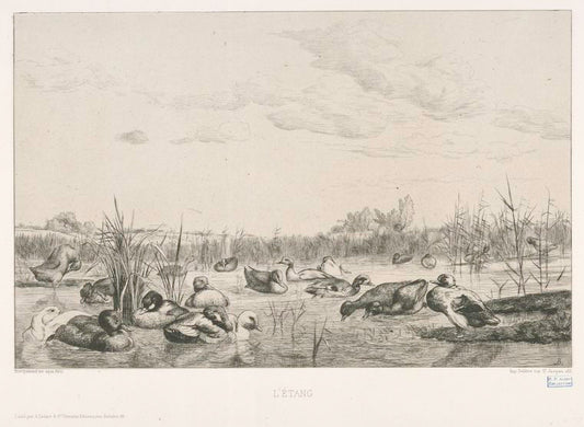 L'étang [deuxième planche].