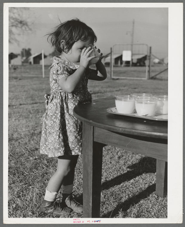 Milk for the children at the Yuba City FSA farm workers' camp. Yuba City, California