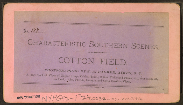 Cotton field.