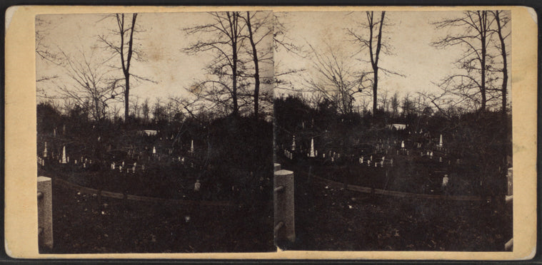 View in Greenwood Cemetery.