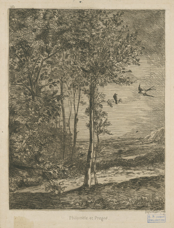 Philomèle et Progné.