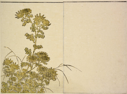 Chrysanthemums