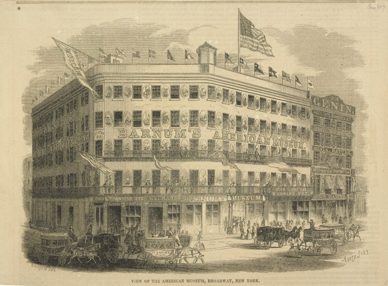 View of the American Museum, Broadway, New York