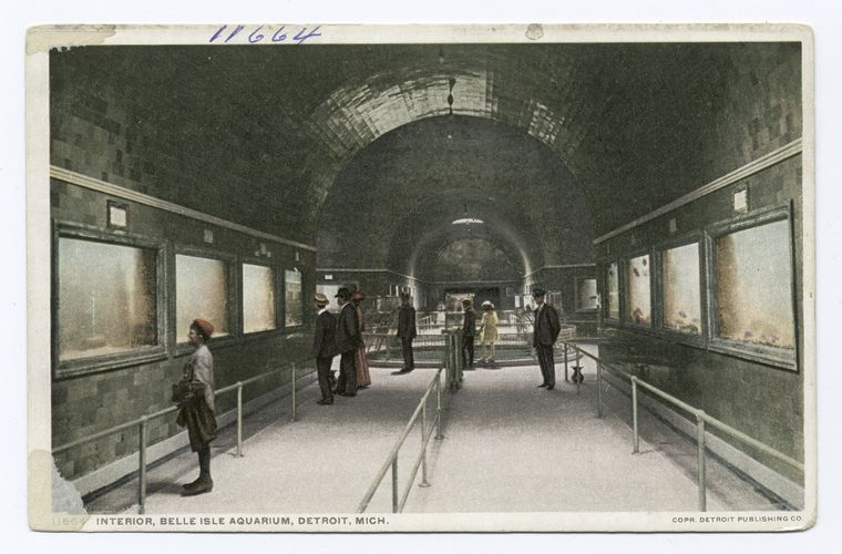 Interior, Belle Isle Aquarium, Detroit, Mich.