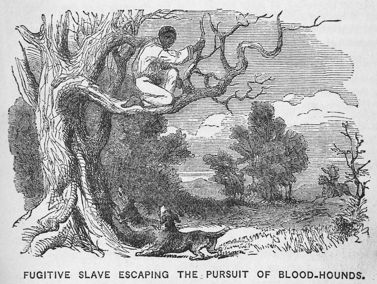 Fugitive slave escaping the pursuit of blood-hounds