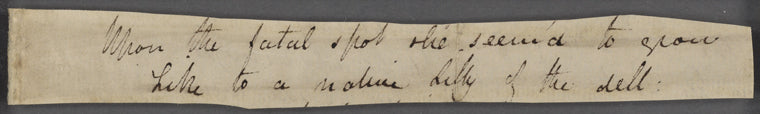 Holograph manuscript, poetic fragment from "Isabella, or the Pot of Basil," April 1819