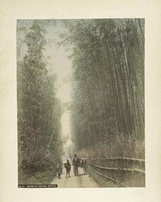 Bamboo Grove, Kioto