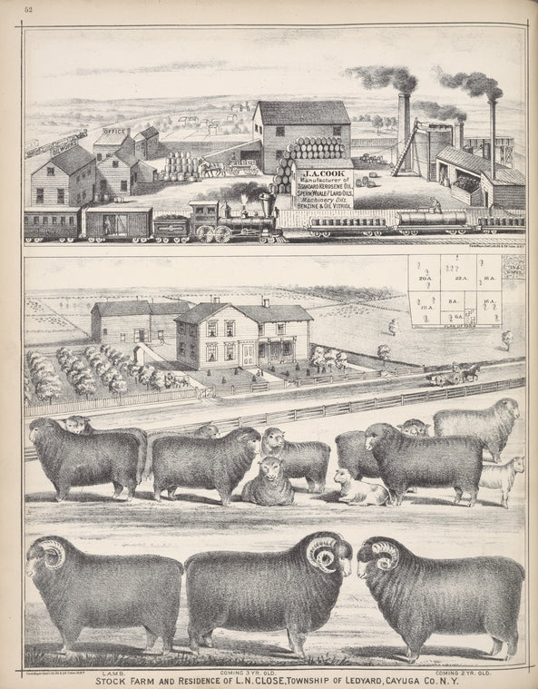 Stock Farm and Residence of L.N. Close, Township of Leoyard, Cayuga Co. N.Y.