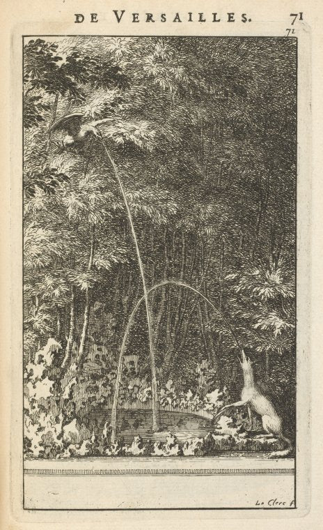 The Eagle and the Fox