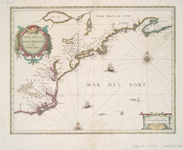 Nova Anglia, Novum Belgium, et Virginia.