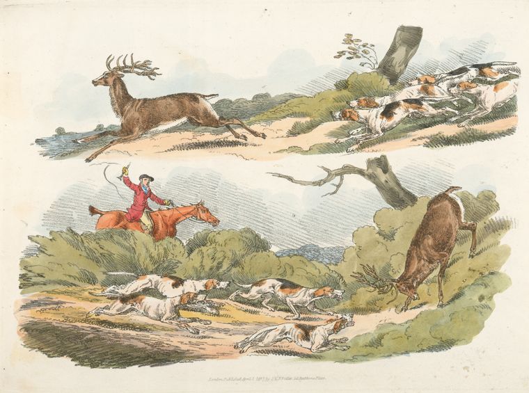 [A hunter with dogs chasing a stag.]