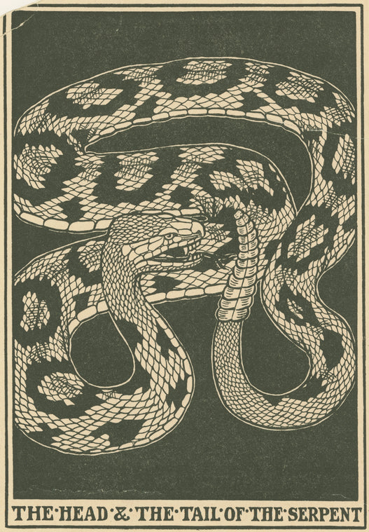 The head & the tail of the serpent.