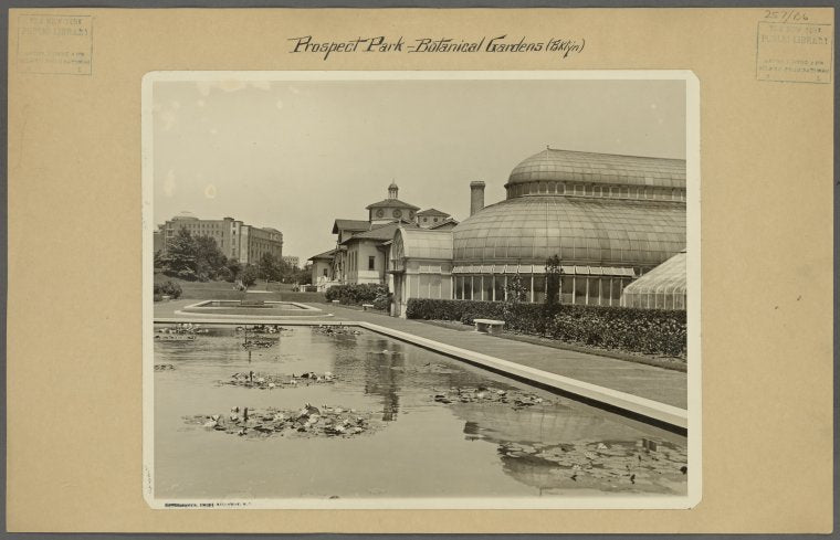 Brooklyn: Prospect Park - Botanical Gardens.