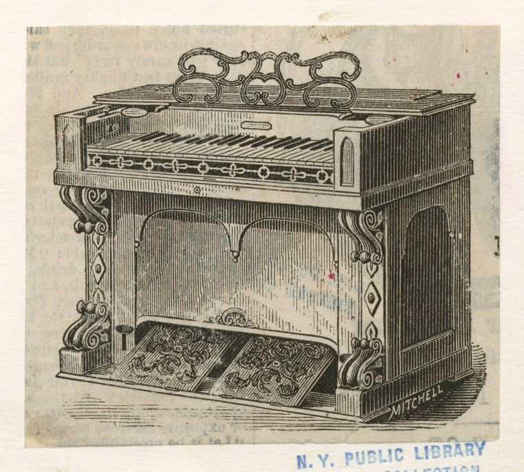 Organ.