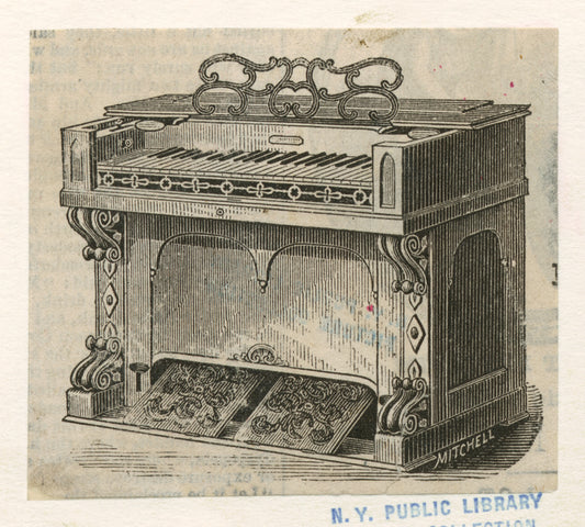 Organ.