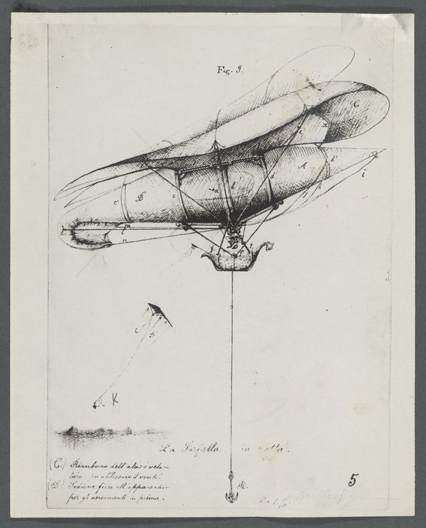 The butterfly in flight