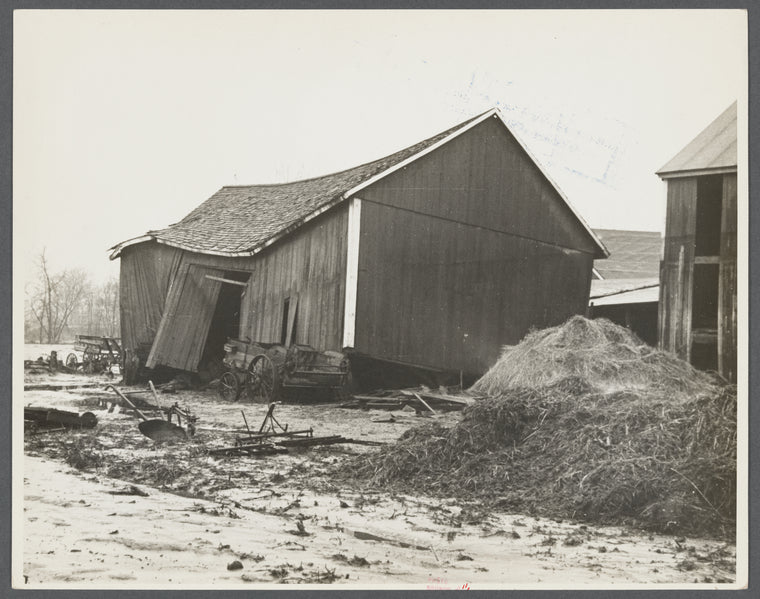 Barn of client after the Connecticut River had subsided, Hatfield, Massachusetts.