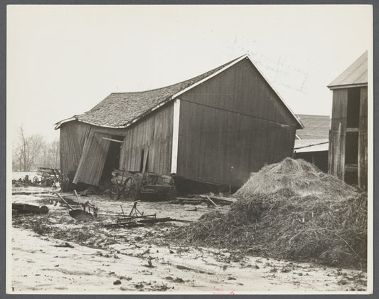 Barn of client after the Connecticut River had subsided, Hatfield, Massachusetts.
