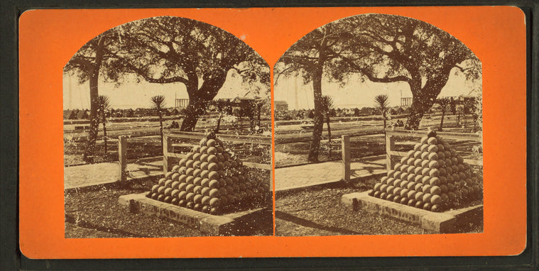 Fort Taylor, Key West, Fla.