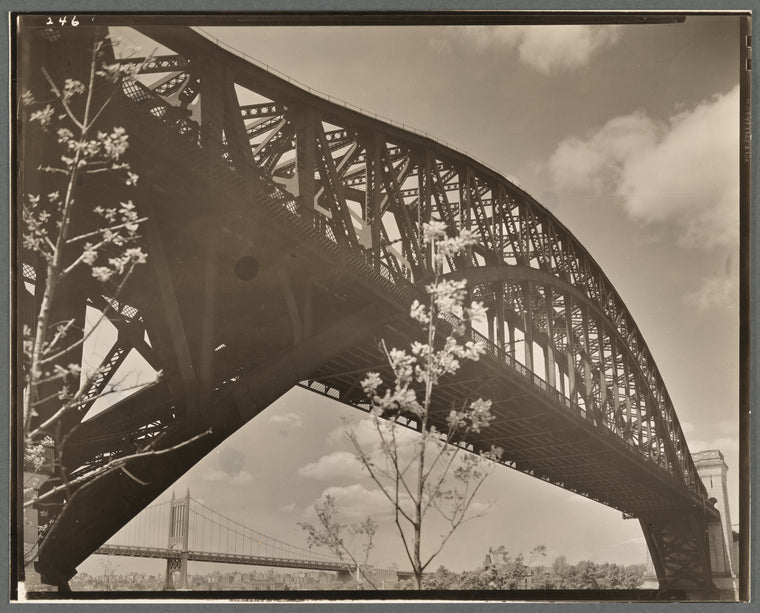 Hell Gate Bridge: I, Central Steel Arch over East River looking toward west from Astoria Park, Queens