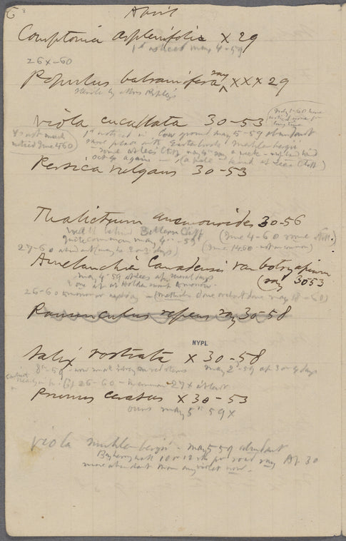 [Notes on flowers]. Holograph notes on flowers and flowering dates.