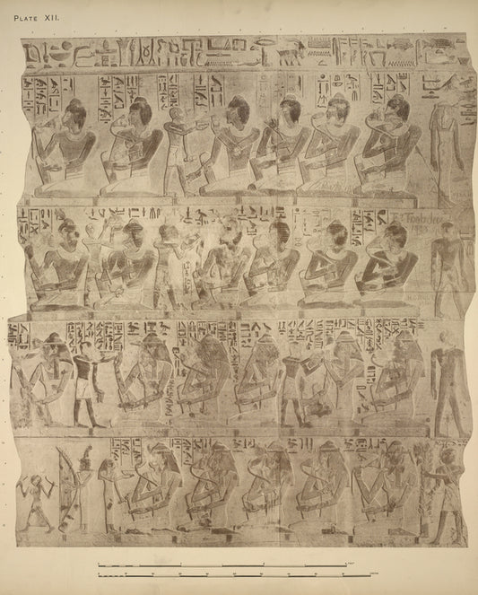 In the top row, next to Herari sits Pehari's second cousin Teta, ... (and other relatives)
