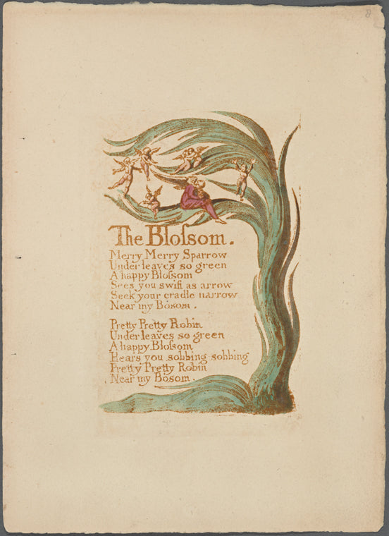 The blossom