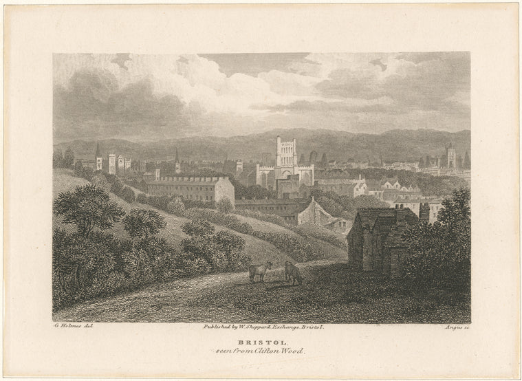 Bristol seen from Clifton Wood.