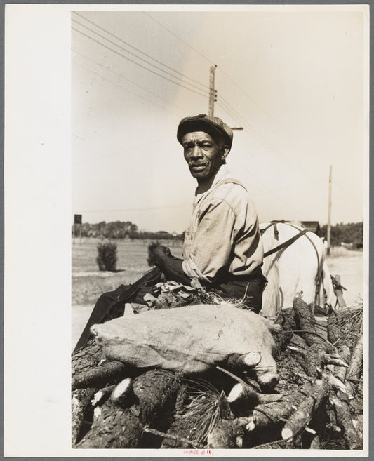 Agricultural laborer who lives at "Eighty Acres," Glassboro, New Jersey
