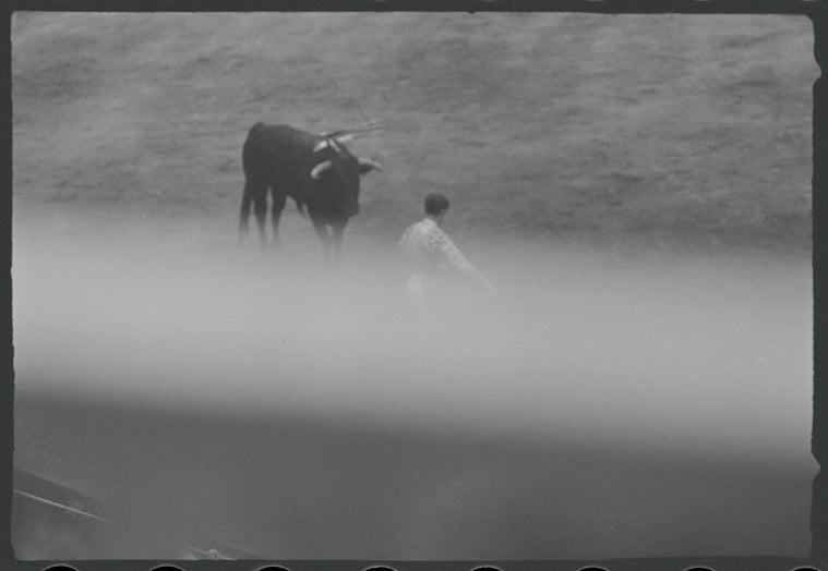 Spanish bullfighting