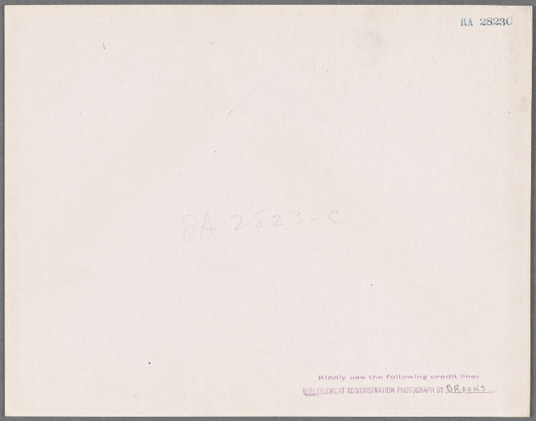 Plowing on a Maryland farm?