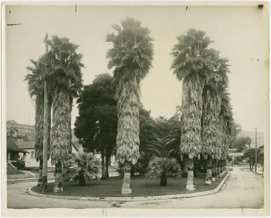 Ela Park