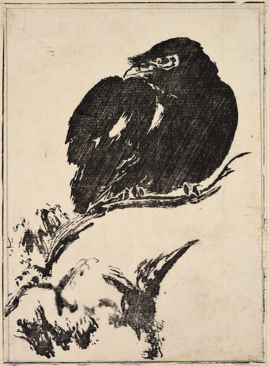 A crow