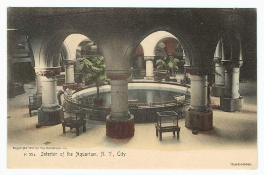 Interior of the aquarium, N.Y. City