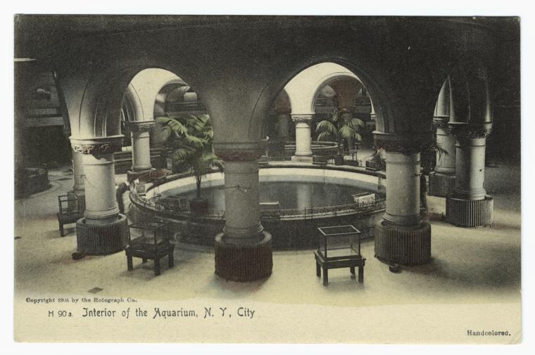 Interior of the aquarium, N.Y. City