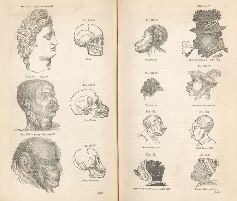 Scientific Charts of Mankind.