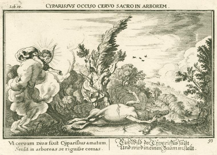 Cyparissus occiso ceruo sacro in arborem